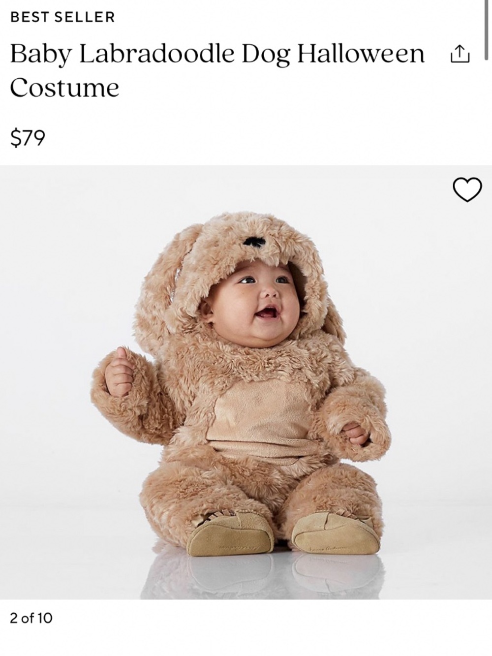 Pottery Barn Kid baby labradoodle dog costume 0-6m